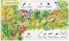 Load image into Gallery viewer, 1001 Bugs to Spot